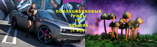 mdpv Бугульма